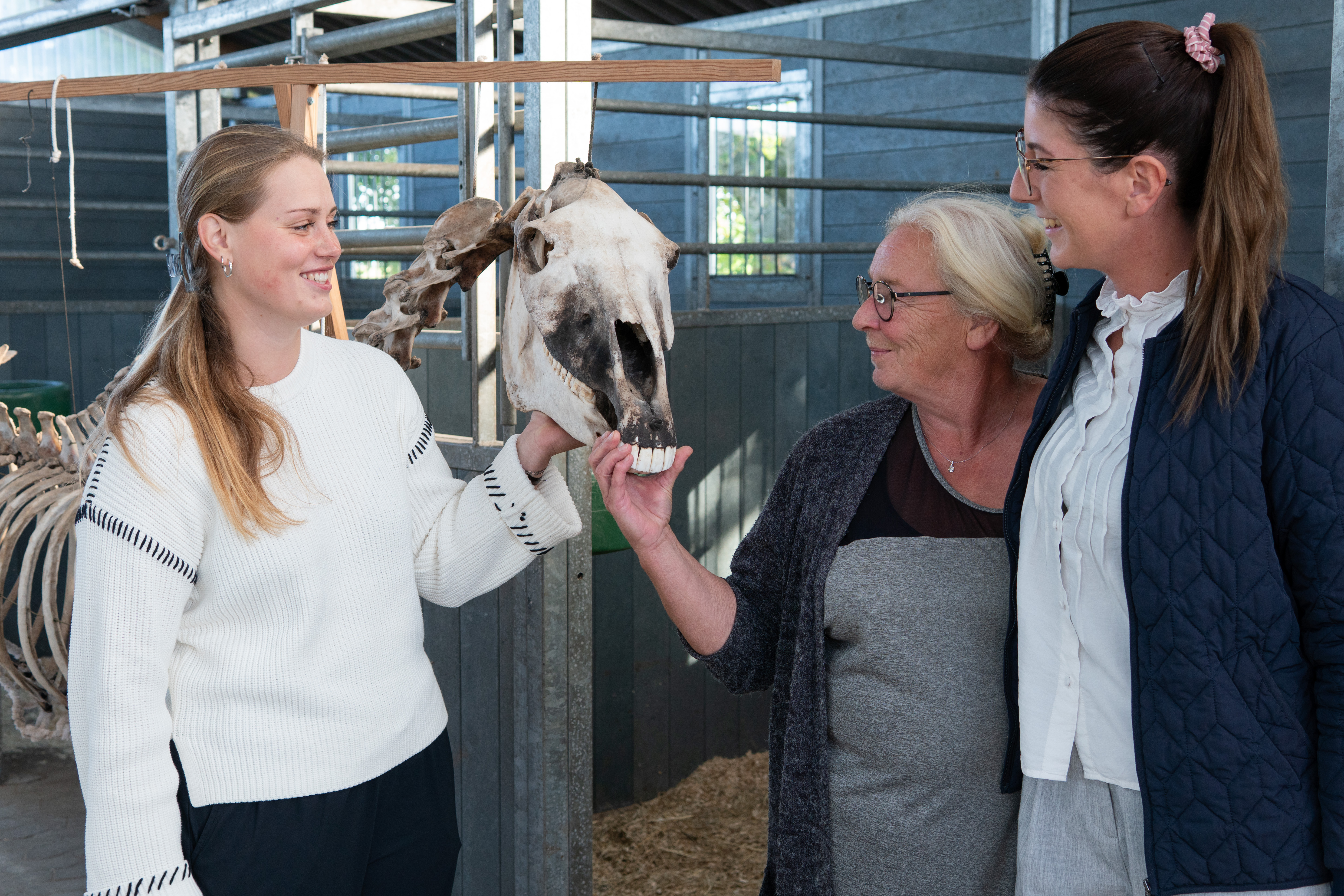 Fra usikker fremtid til drømmejob: Anne Sofie fandt sin plads som hestefysioterapeut med støtte og vilje