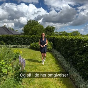Opslagsbillede
