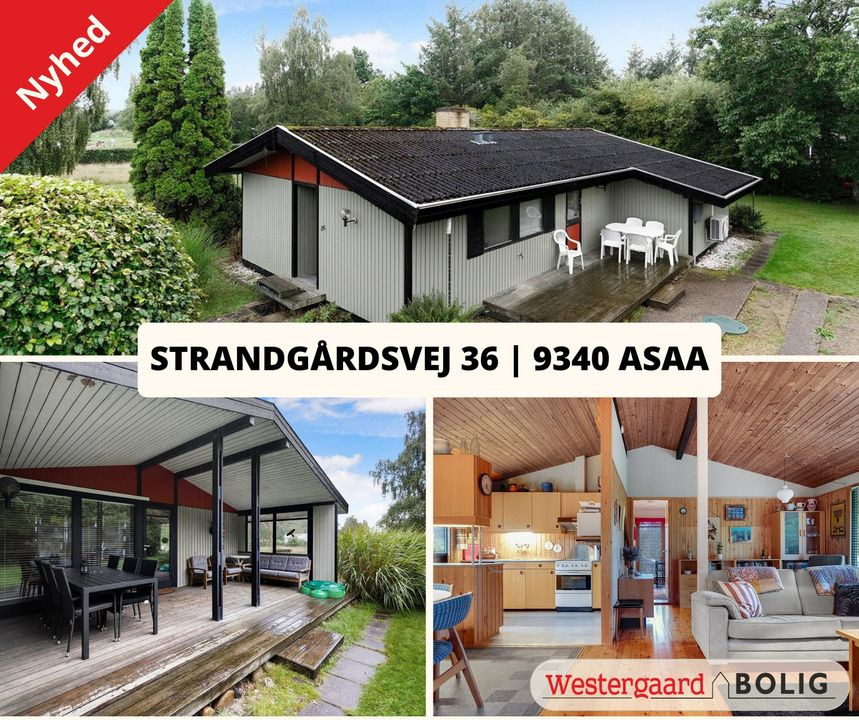 Opdatér dig her: Det nyeste fra Brønderslev