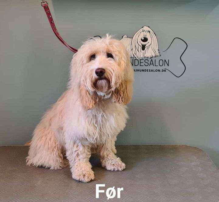 Opslagstavlen: Nyeste opdateringer fra Sæby