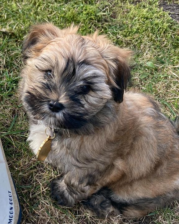 Det nyeste på Hjørrings opslagstavle