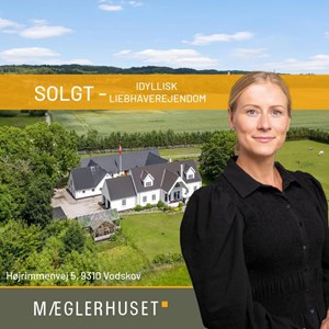 opslagsbillede
