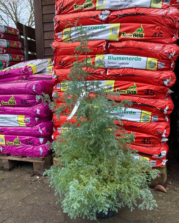 Nyt på opslagstavlen i Hobro