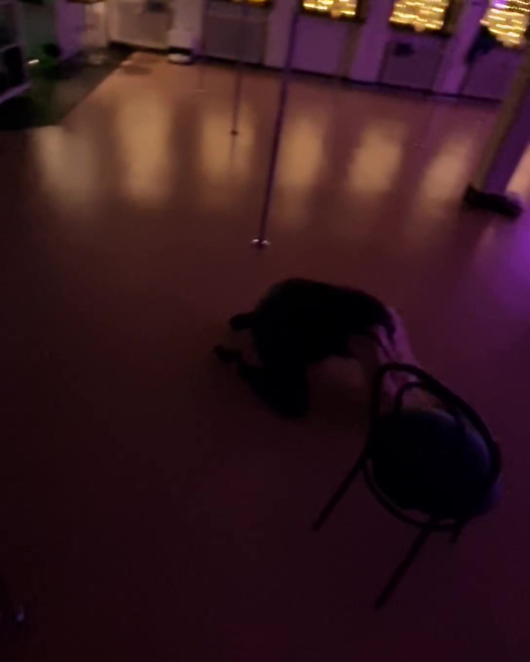 Det nyeste på Fredericias opslagstavle