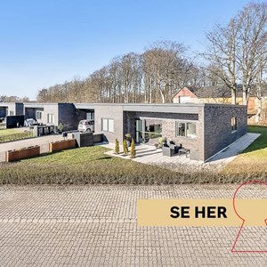 Opslagsbillede