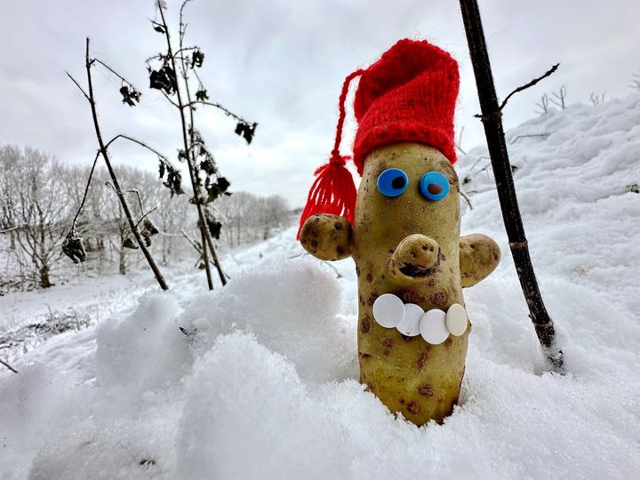 Nyt på opslagstavlen i Hjørring