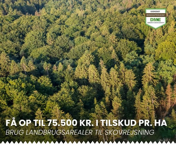 Skovbygaard A/S tilbyder op til 75.500 kr. i tilskud til skovrejsning