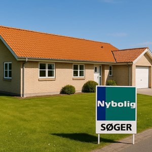 Opslagsbillede