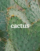Zenz introducerer Signature Cactus: en eksotisk hårforkælelse