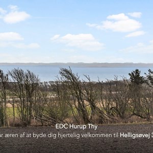 Opslagsbillede