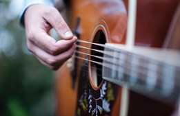 Shamrock bringer irsk folkemusik til Tarm
