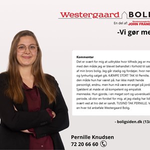 Opslagsbillede
