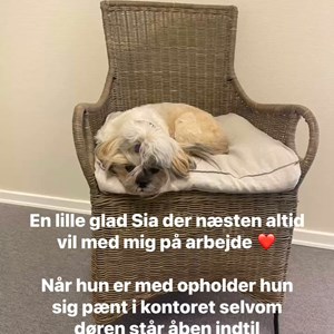 Opslagsbillede