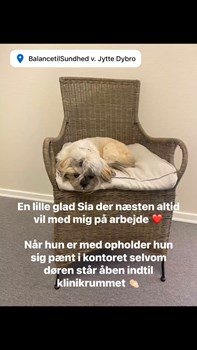Opslagsbillede
