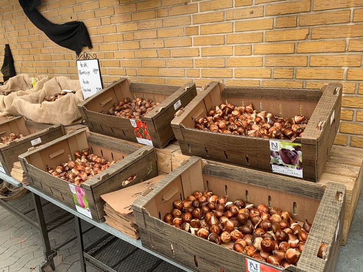 Det nyeste på Brønderslevs opslagstavle