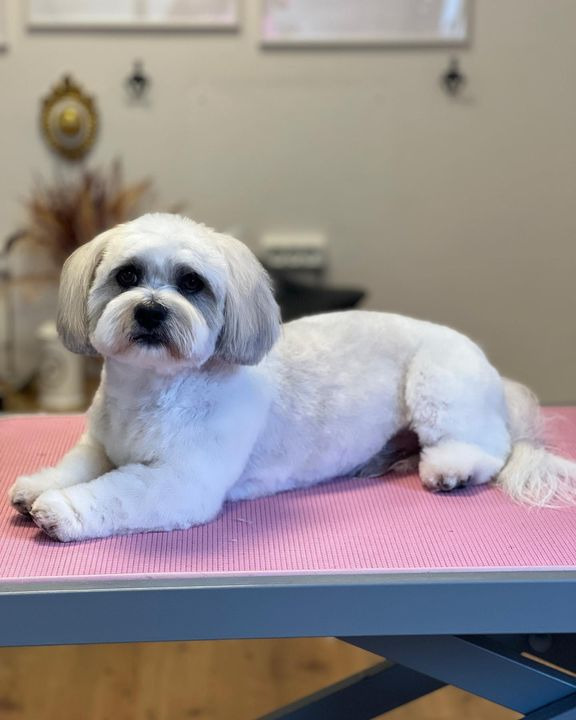 Hold trit med lokalområdet: Nyt fra Vejle