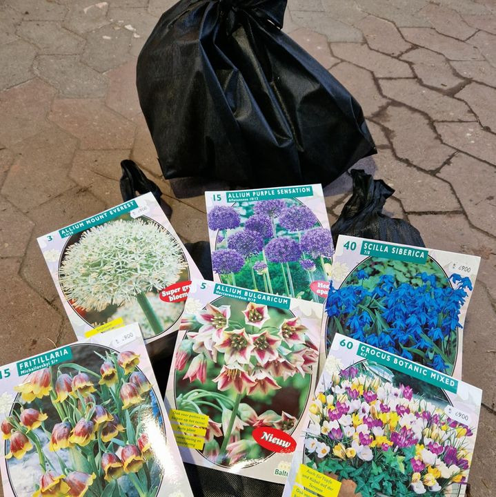 Opdatér dig her: Det nyeste fra Hobro