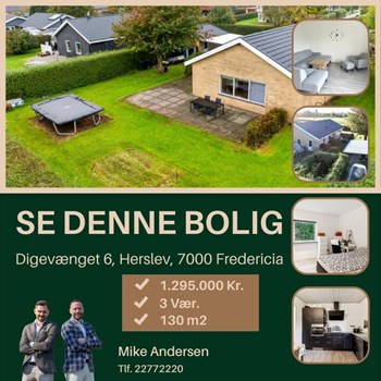 Opslagsbillede