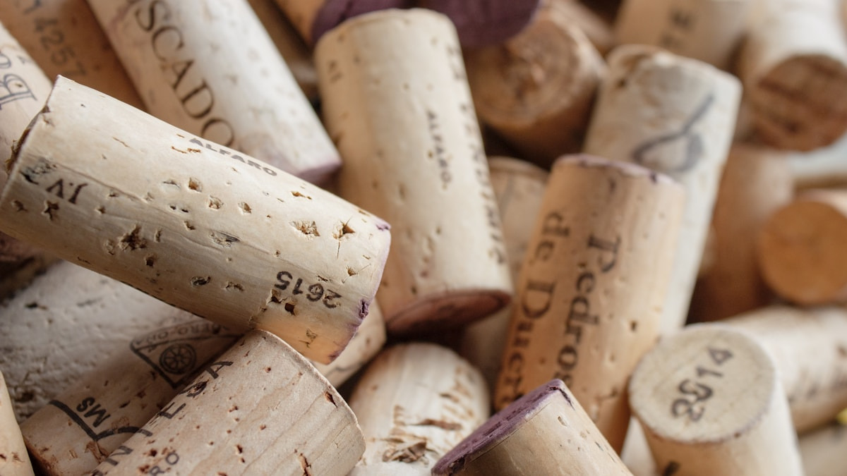 Fejr fars dag med en eksklusiv middag på Vinkælderen