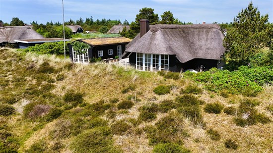 Svinget 28 og 4 andre boliger er kommet til salg denne uge i Blåvand - se boligerne her.