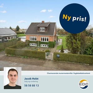 Opslagsbillede