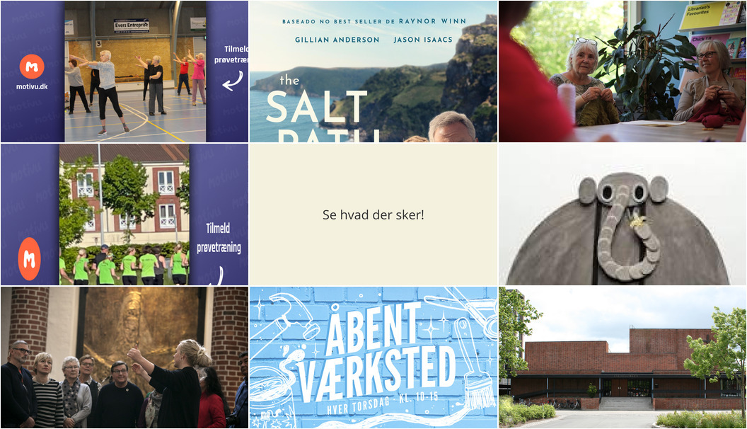 Ugentlig guide: Oplevelser og aktiviteter i Roskilde
