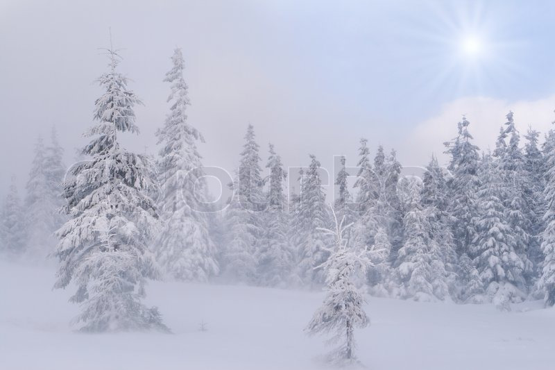 Nyt på opslagstavlen i Højbjerg