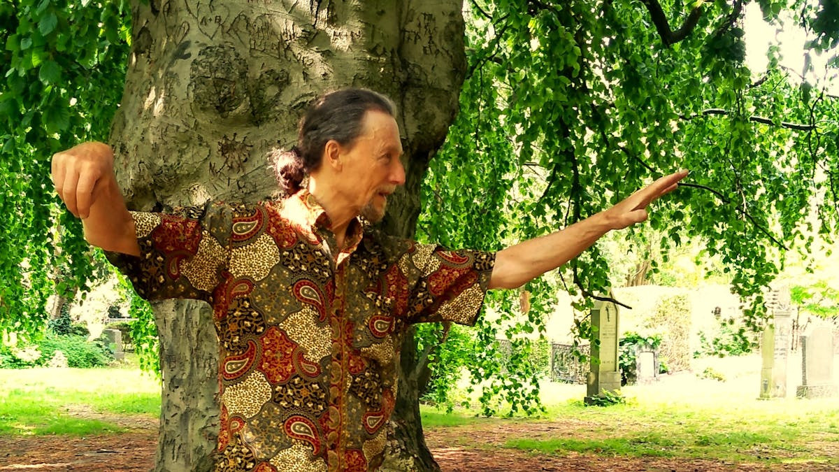 Søndags Qi Gong og Tai Chi i Vanløse