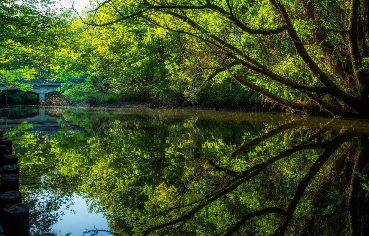 Aktører på tværs af brancher står sammen om at indfri ambitiøse klimamål i Horsens Kommune