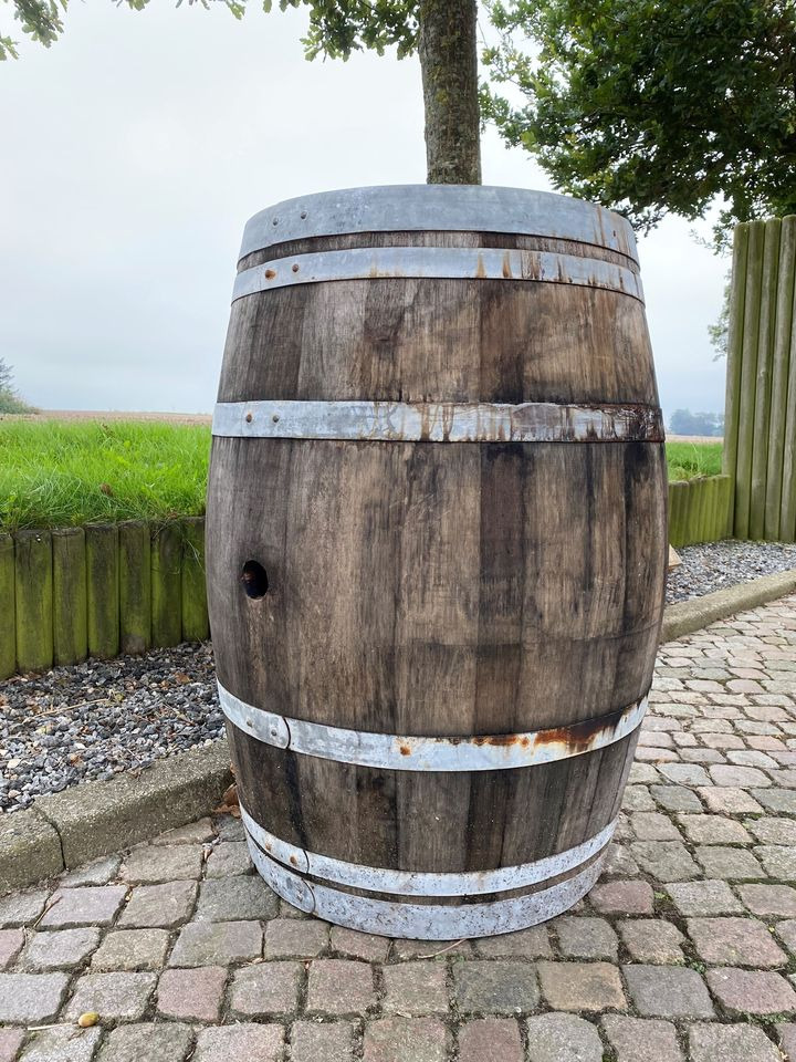 Hold trit med lokalområdet: Nyt fra Skive