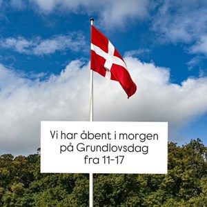 Opslagsbillede