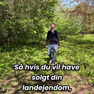 Opslagsbillede