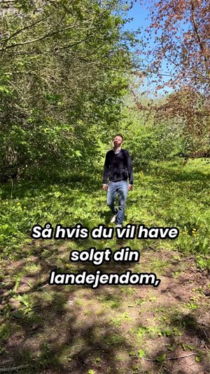 opslagsbillede