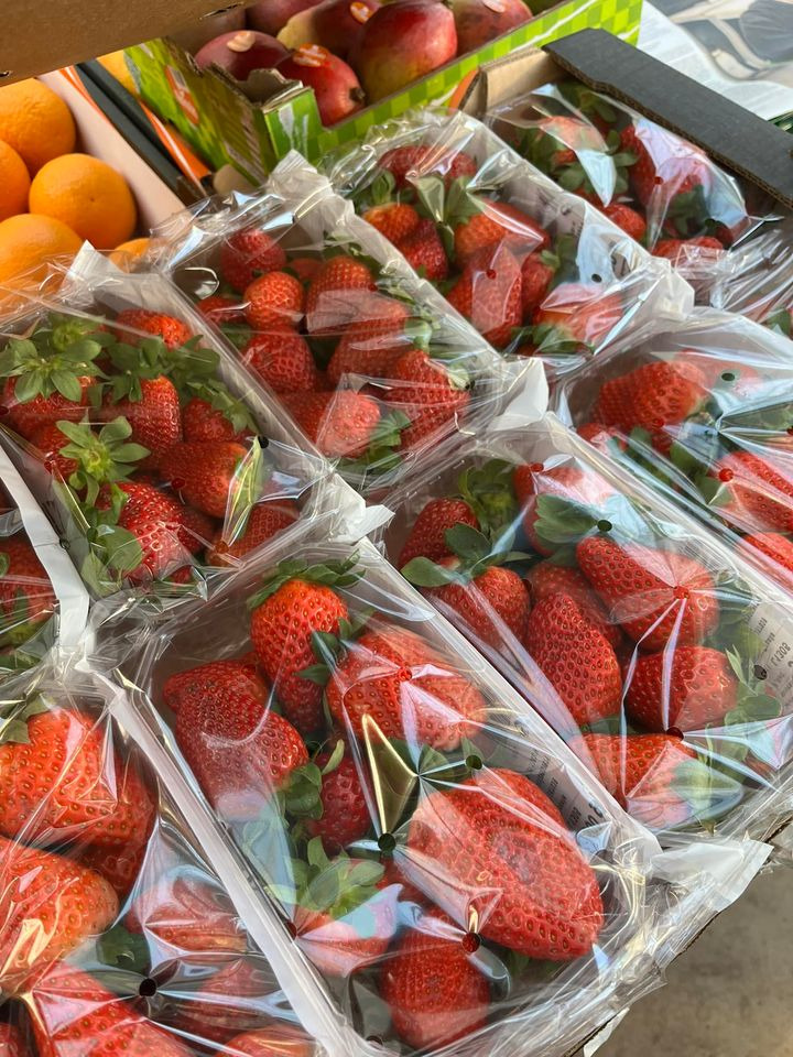 Hold dig ajour med dagens opdateringer fra Horsens