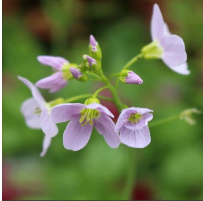 Hold dig ajour med dagens opdateringer fra Hobro