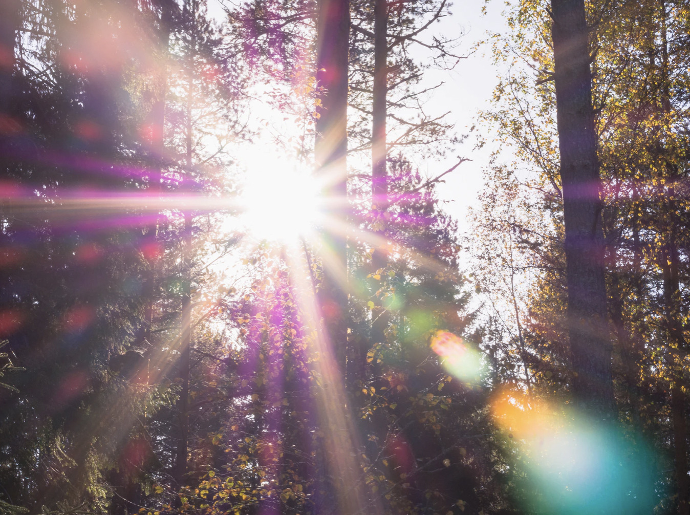 Naturidyl med Naturtryl: oplev et anderledes trylleshow