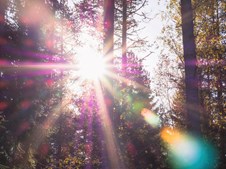 Naturidyl med Naturtryl: oplev et anderledes trylleshow