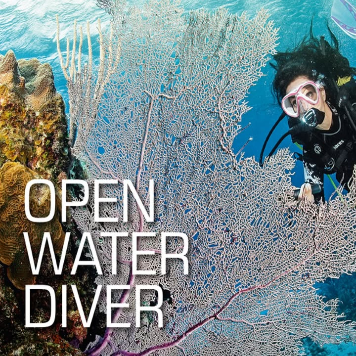 Sidste chance for tilmelding til dykkerkursus hos CARLSENS DYKKERCENTER A/S