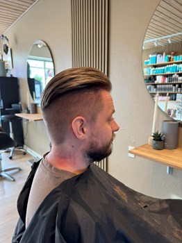 Opslagsbillede