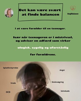 Opslagsbillede