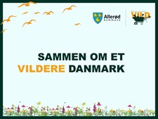 Efterlyses: Flere vilde arealer i Allerød!