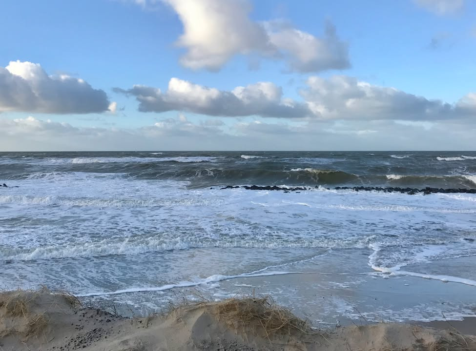 Museerne i Holstebro søger marinarkæolog til at udforske Danmarks maritime kulturarv