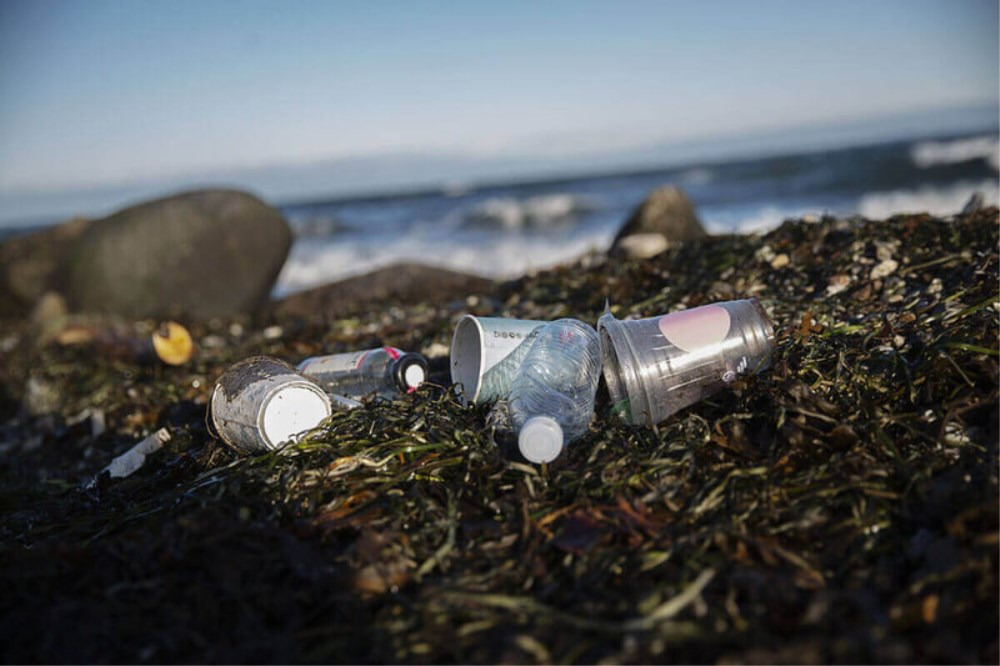 Affaldsindsamling ved Isefjord: Gør en forskel for miljøet