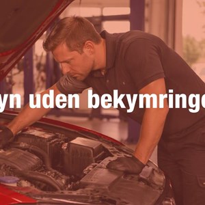Opslagsbillede