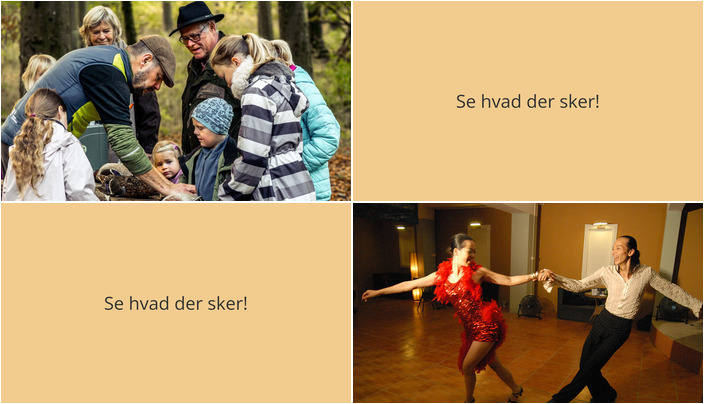 Julehygge og dans i Rønde: Oplev bueskydning og Groove-session i weekenden