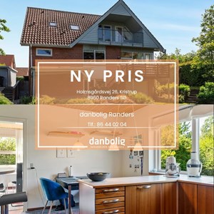 Opslagsbillede