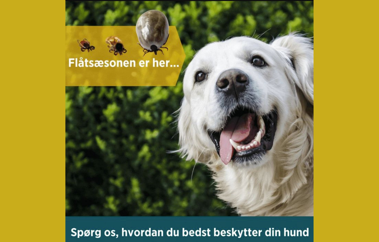 Center Dyreklinik gør klar til flåtsæsonen: Rådgiver om passende produkter og udleverer receptpligtig medicin