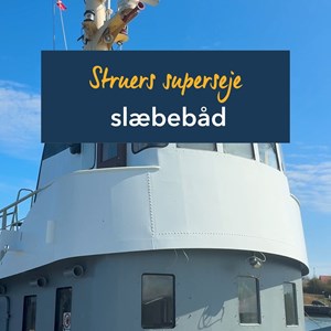 Opslagsbillede