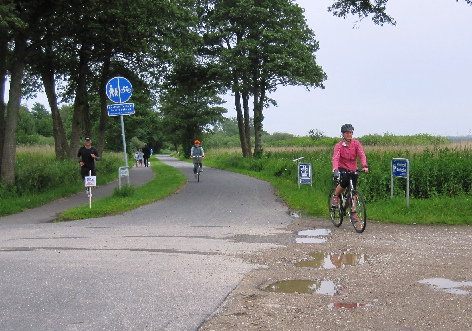 Forår over Brabrandsøen