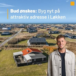 Opslagsbillede